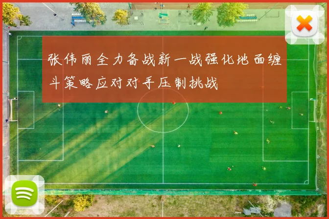 张伟丽全力备战新一战强化地面缠斗策略应对对手压制挑战
